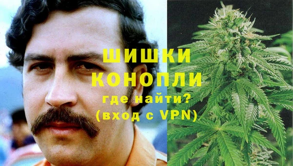 бошки Нея